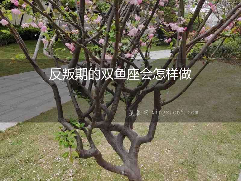 反叛期的雙魚座會怎樣做