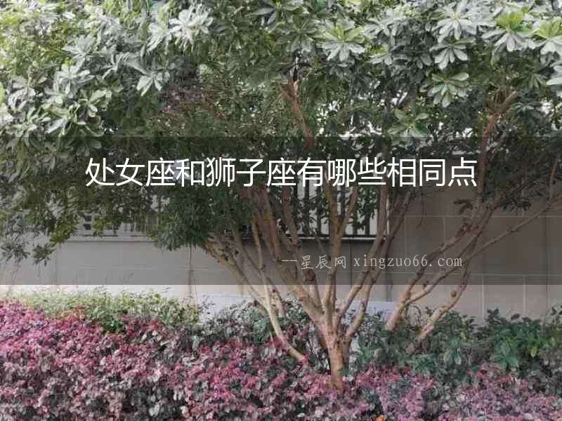 處女座和獅子座有哪些相同點