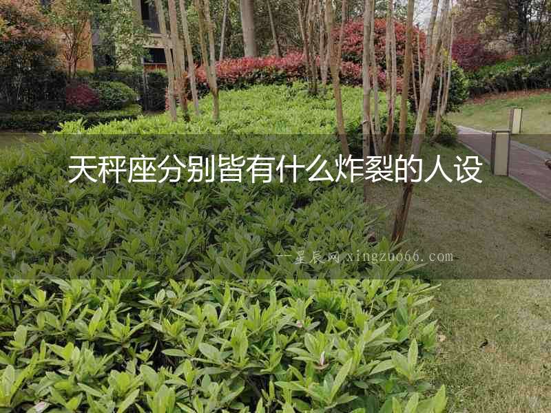 天秤座分別皆有什么炸裂的人設(shè)