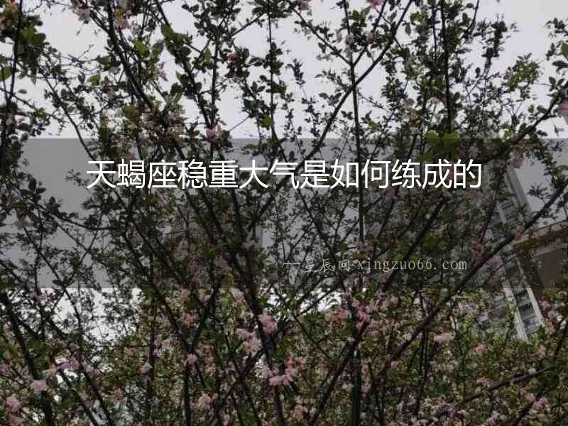 天蝎座穩重大氣是如何練成的