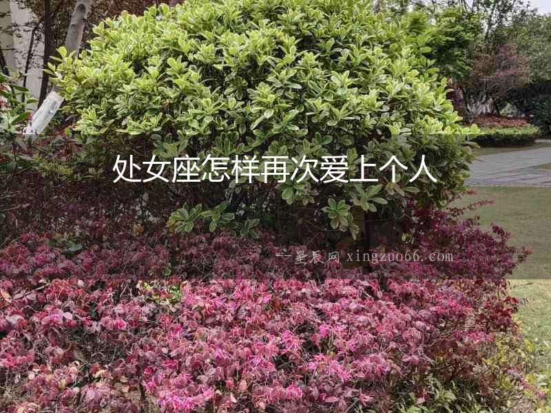 處女座怎樣再次愛上個(gè)人