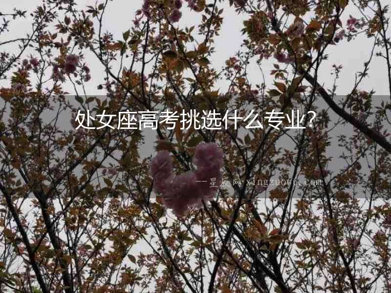 處女座高考挑選什么專業？