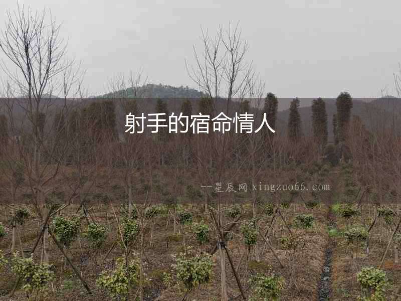 射手的宿命情人