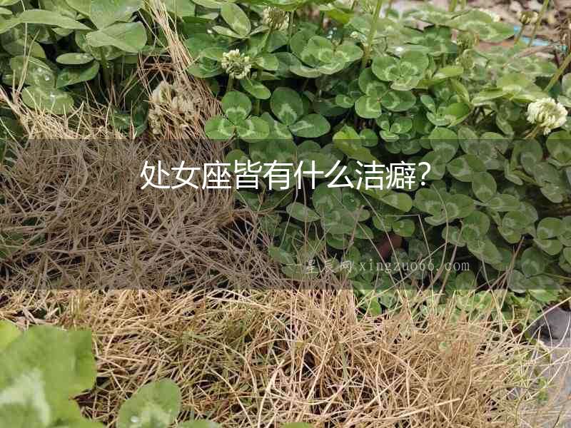 處女座皆有什么潔癖？