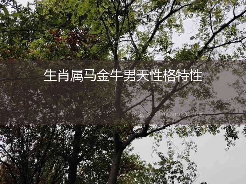 生肖屬馬金牛男天性格特性