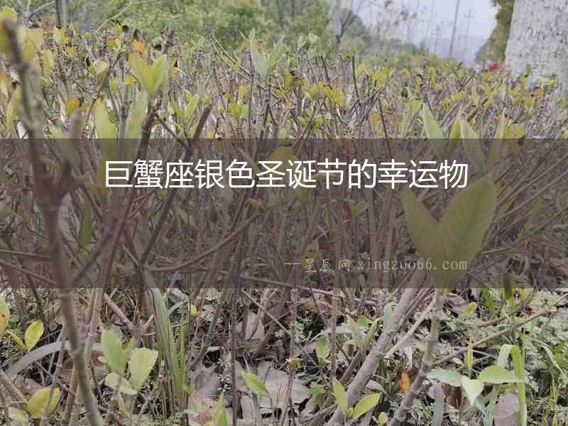 巨蟹座銀色圣誕節(jié)的幸運物