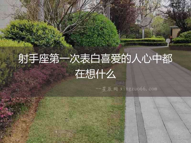 射手座第一次表白喜愛的人心中都在想什么