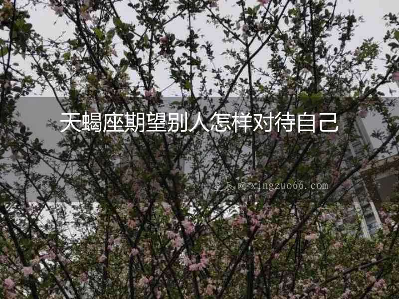 天蝎座期望別人怎樣對待自己