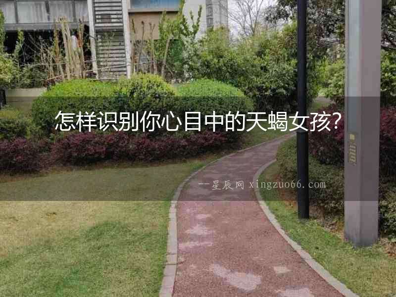 怎樣識(shí)別你心目中的天蝎女孩？