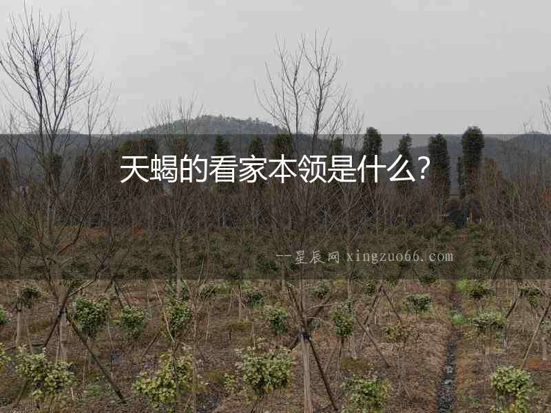 天蝎的看家本領是什么？