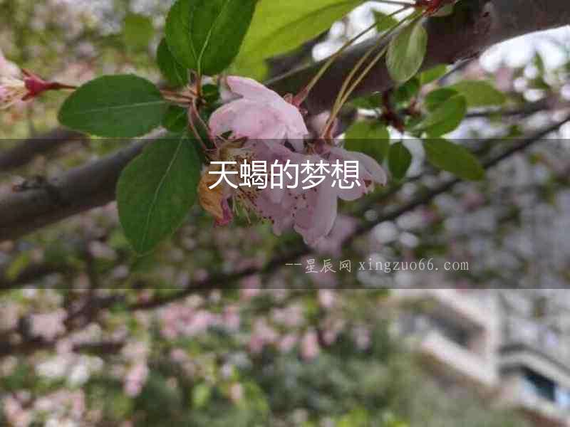 天蝎的夢想