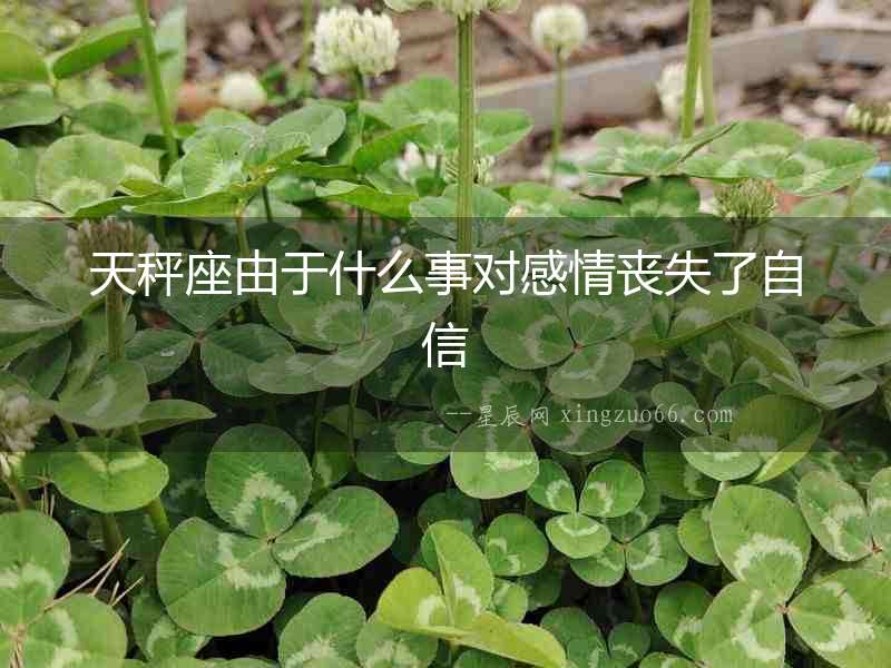 天秤座由于什么事對(duì)感情喪失了自信