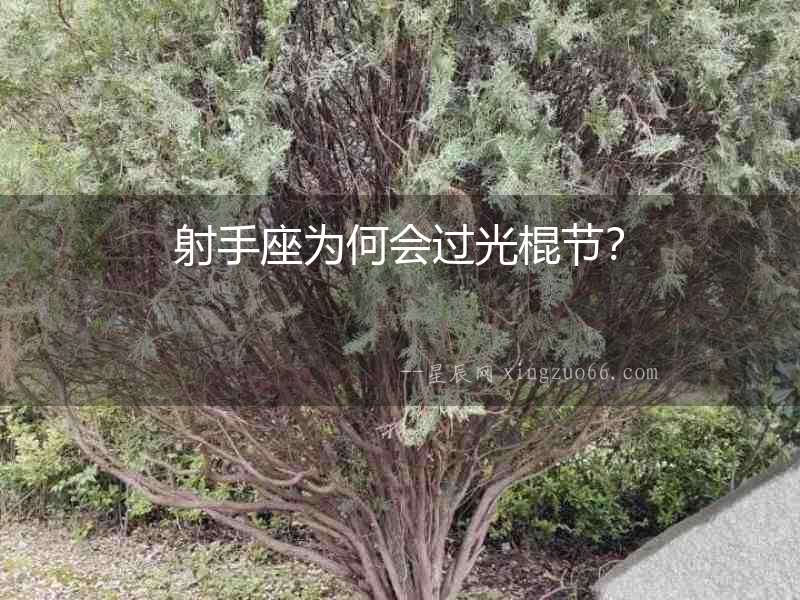 射手座為何會(huì)過光棍節(jié)？
