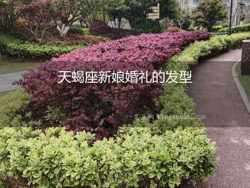 天蝎座新娘婚禮的發型