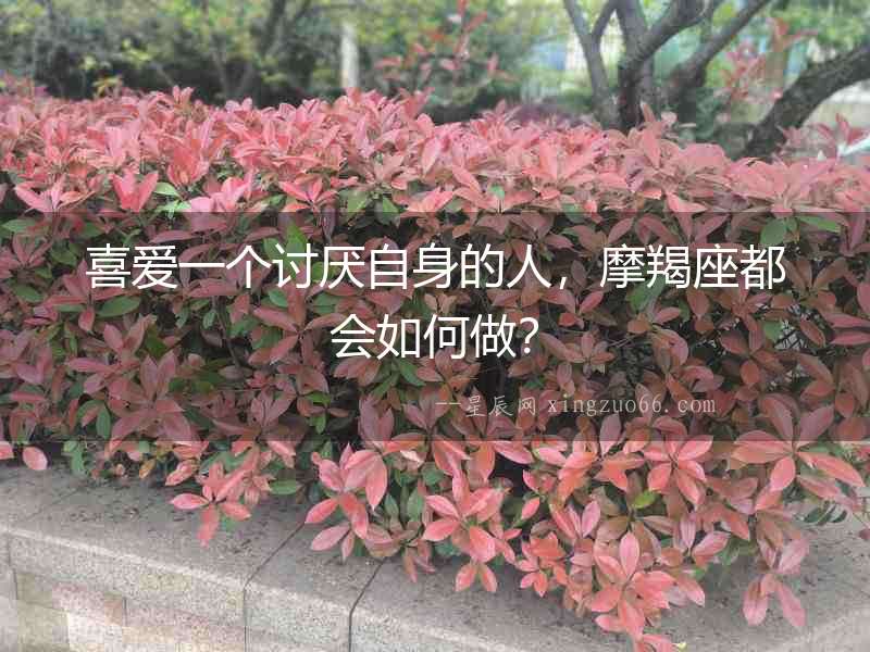 喜愛一個(gè)討厭自身的人，摩羯座都會(huì)如何做？