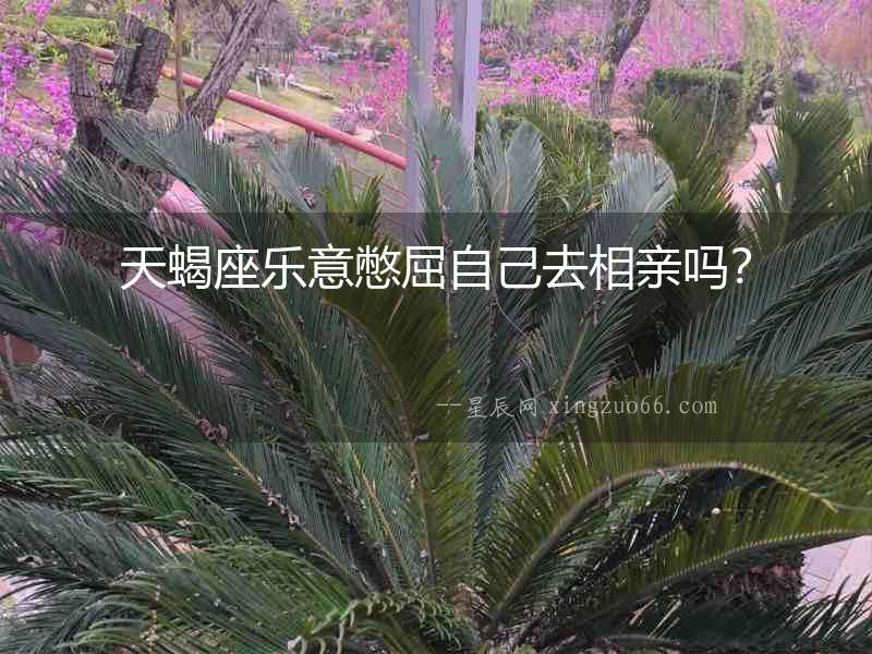 天蝎座樂(lè)意憋屈自己去相親嗎？