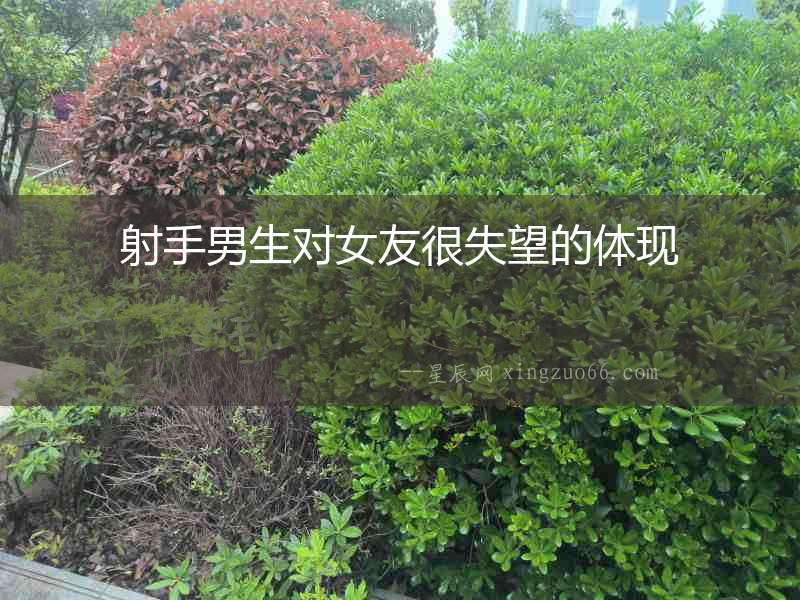 射手男生對女友很失望的體現