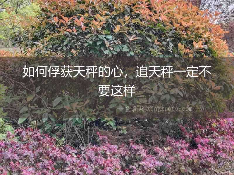 如何俘獲天秤的心，追天秤一定不要這樣