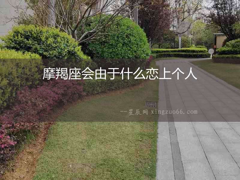 摩羯座會由于什么戀上個人