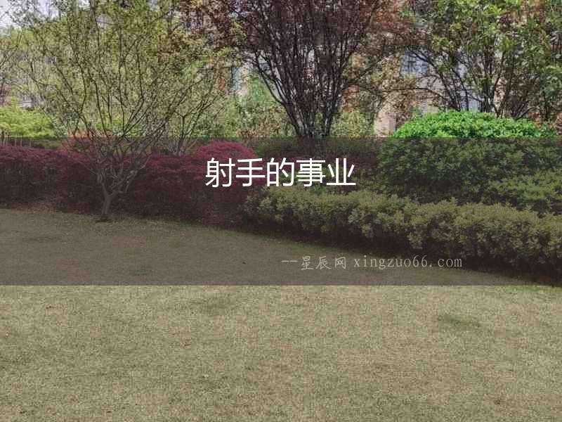 射手的事業