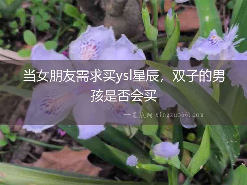 當女朋友需求買ysl星辰，雙子的男孩是否會買