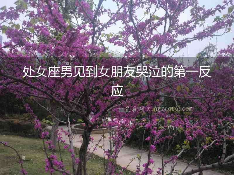 處女座男見到女朋友哭泣的第一反應