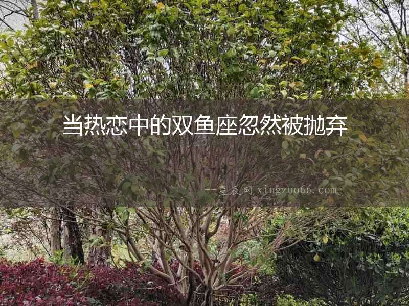 當熱戀中的雙魚座忽然被拋棄