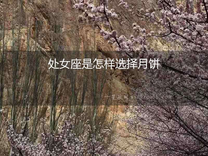 處女座是怎樣選擇月餅