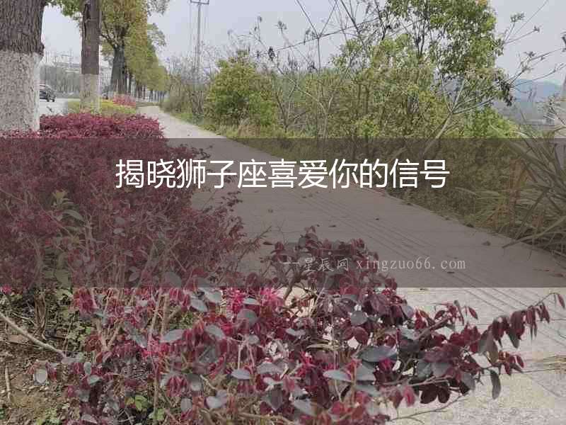 揭曉獅子座喜愛你的信號