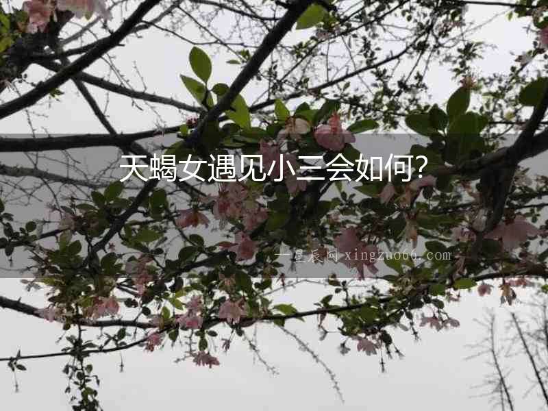 天蝎女遇見小三會如何？