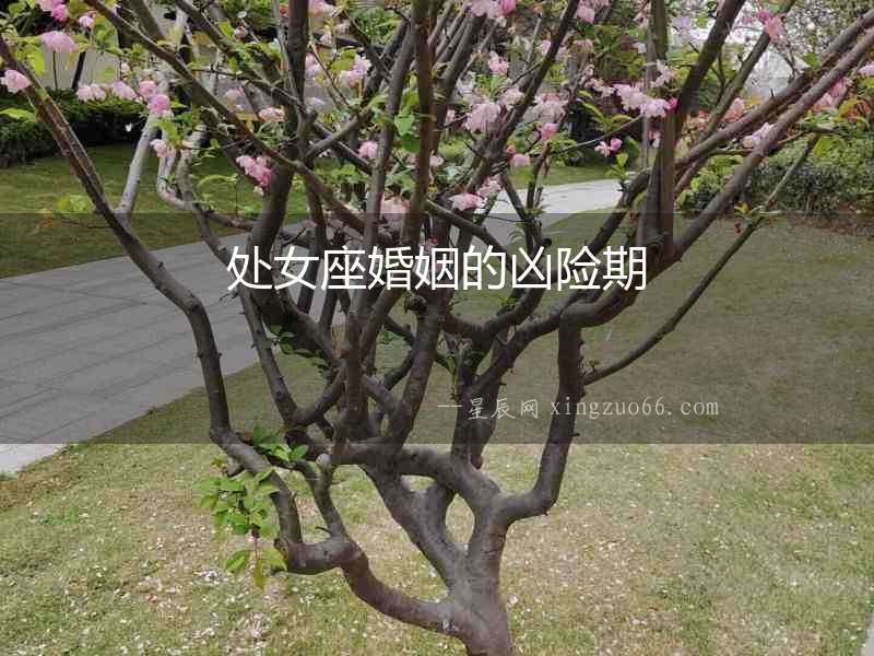 處女座婚姻的兇險期