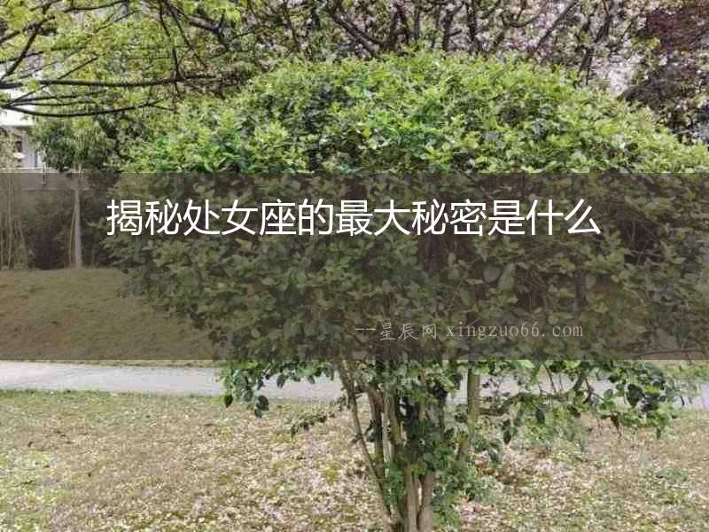 揭秘處女座的最大秘密是什么