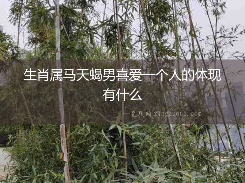 生肖屬馬天蝎男喜愛一個人的體現有什么