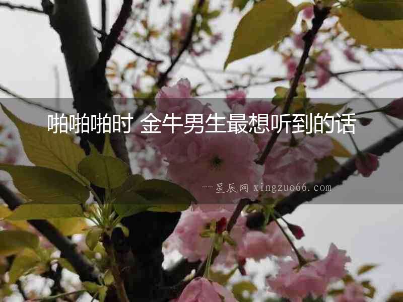 啪啪啪時 金牛男生最想聽到的話