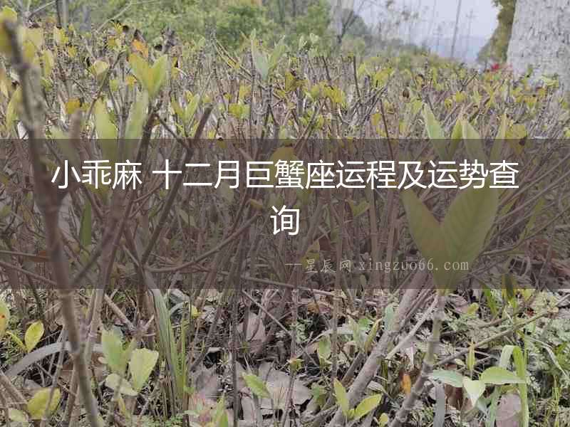 小乖麻 十二月巨蟹座運程及運勢查詢