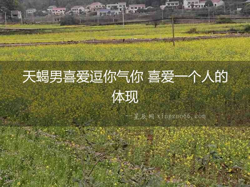 天蝎男喜愛逗你氣你 喜愛一個人的體現