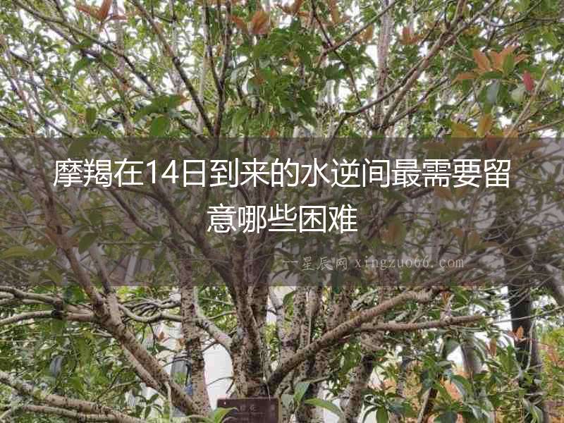 摩羯在14日到來的水逆間最需要留意哪些困難