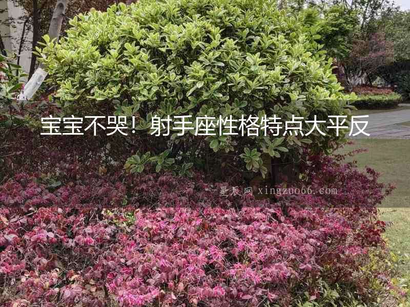 寶寶不哭！射手座性格特點大平反