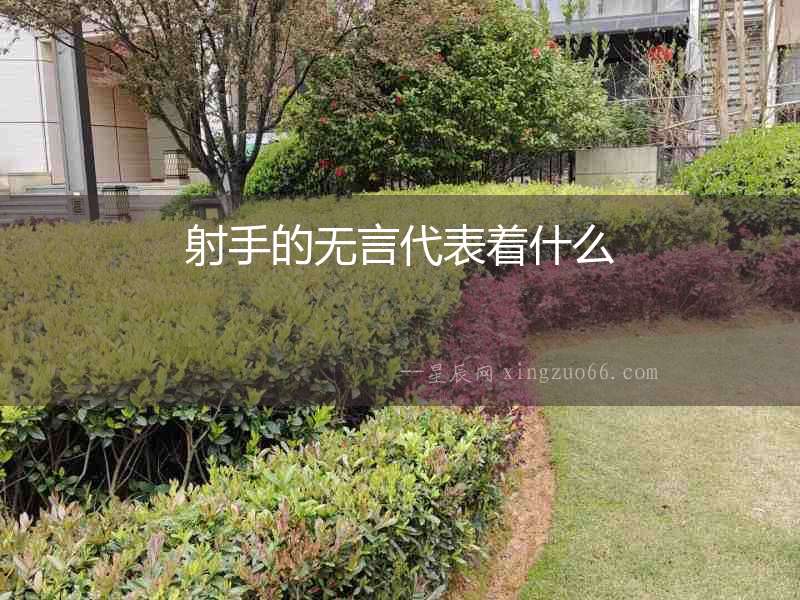射手的無言代表著什么