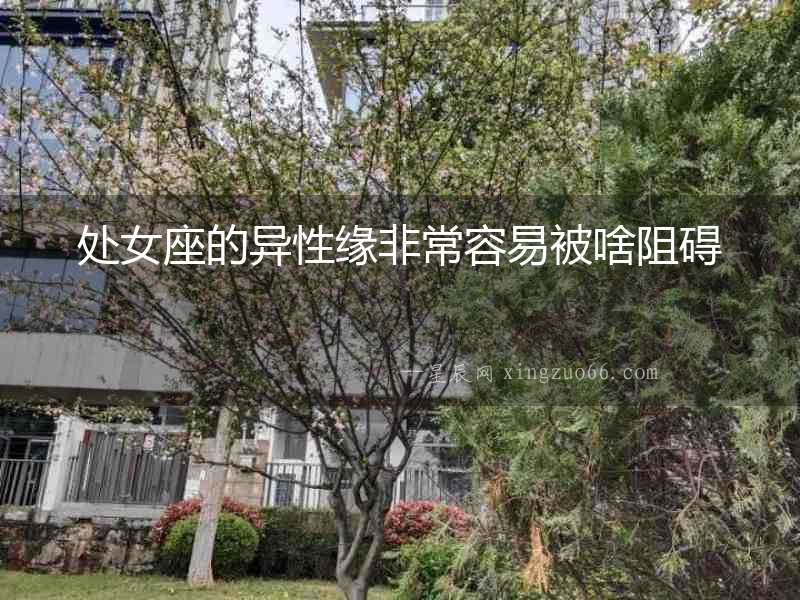 處女座的異性緣非常容易被啥阻礙