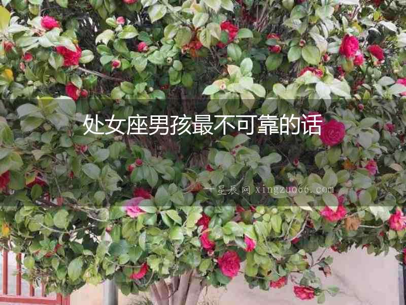 處女座男孩最不可靠的話