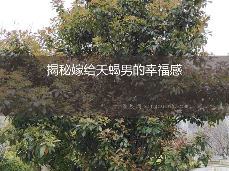 揭秘嫁給天蝎男的幸福感