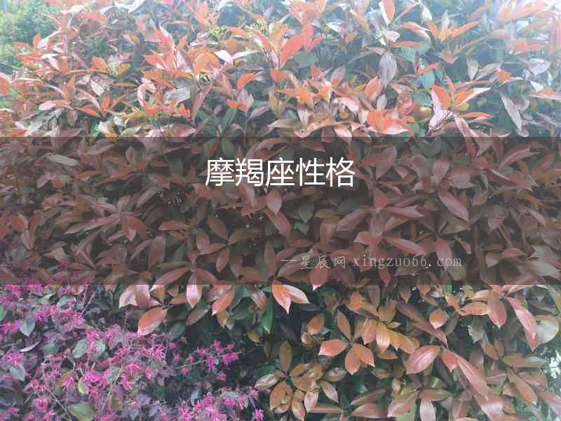 摩羯座性格