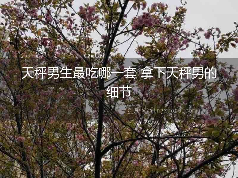 天秤男生最吃哪一套 拿下天秤男的細節