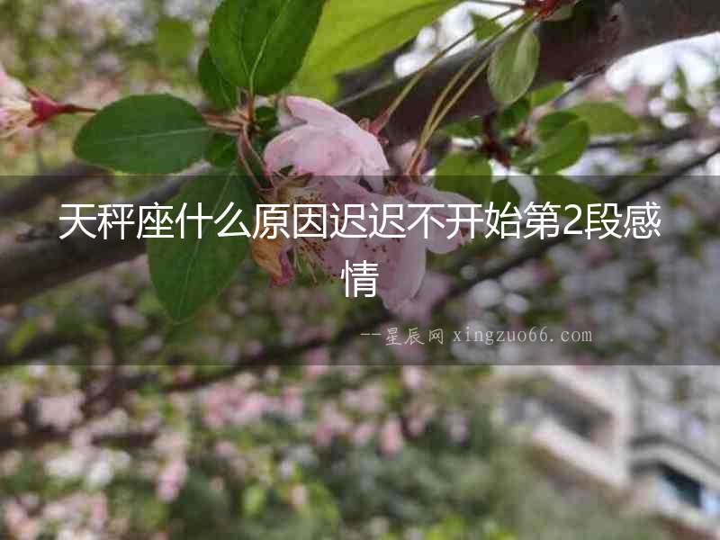 天秤座什么原因遲遲不開始第2段感情