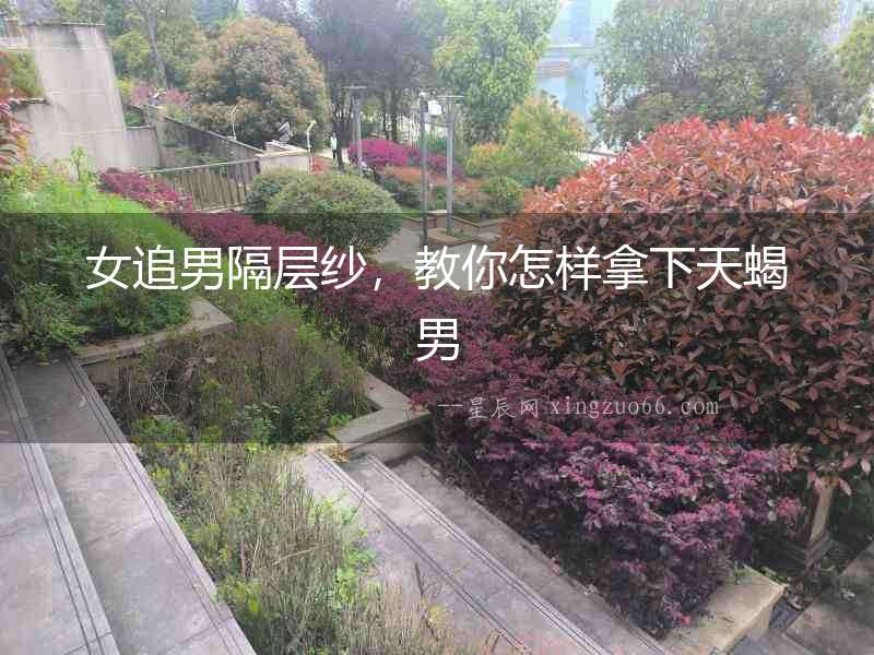 女追男隔層紗，教你怎樣拿下天蝎男