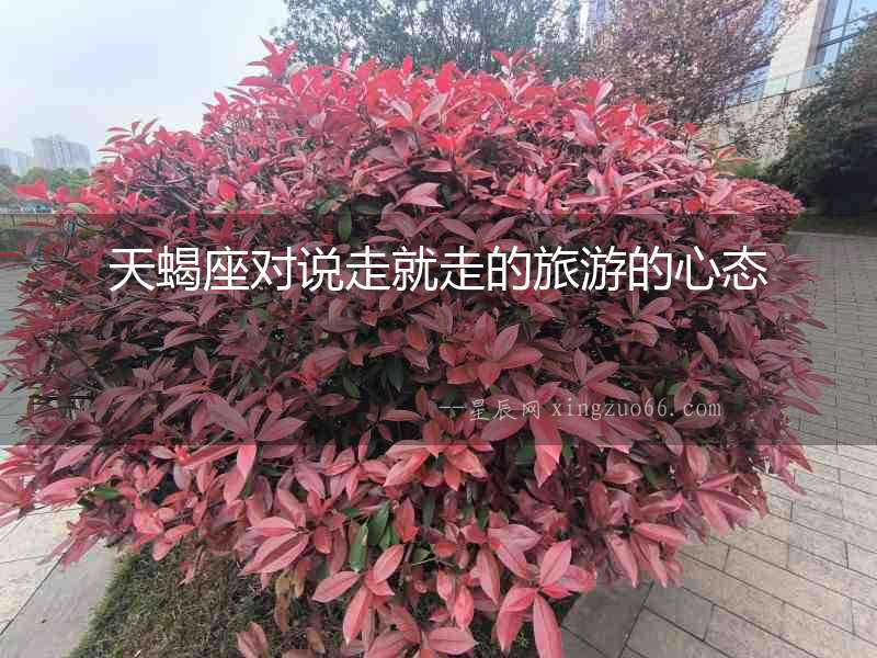 天蝎座對說走就走的旅游的心態