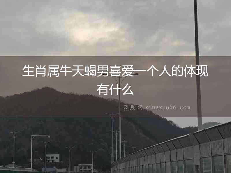 生肖屬牛天蝎男喜愛(ài)一個(gè)人的體現(xiàn)有什么