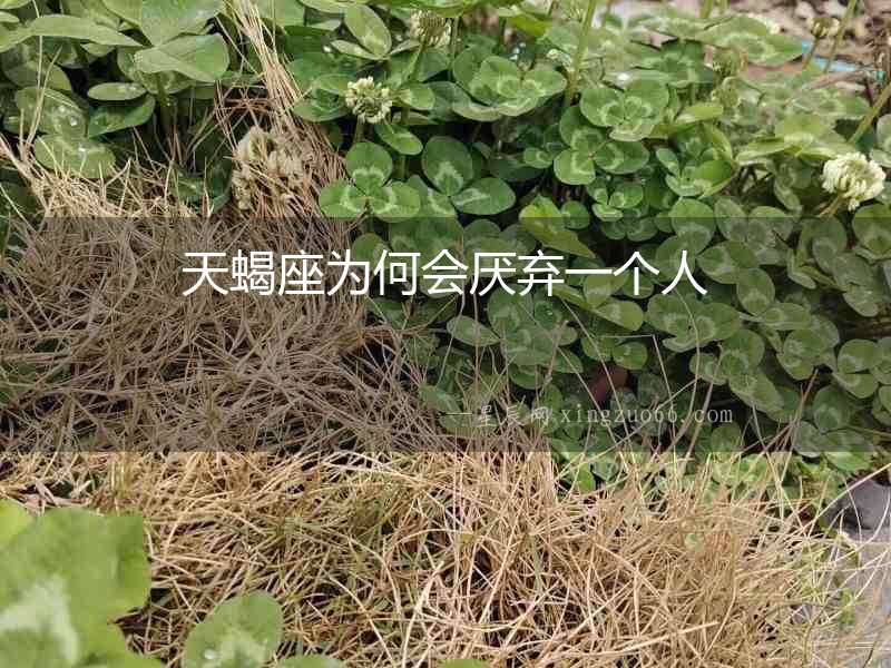 天蝎座為何會厭棄一個人