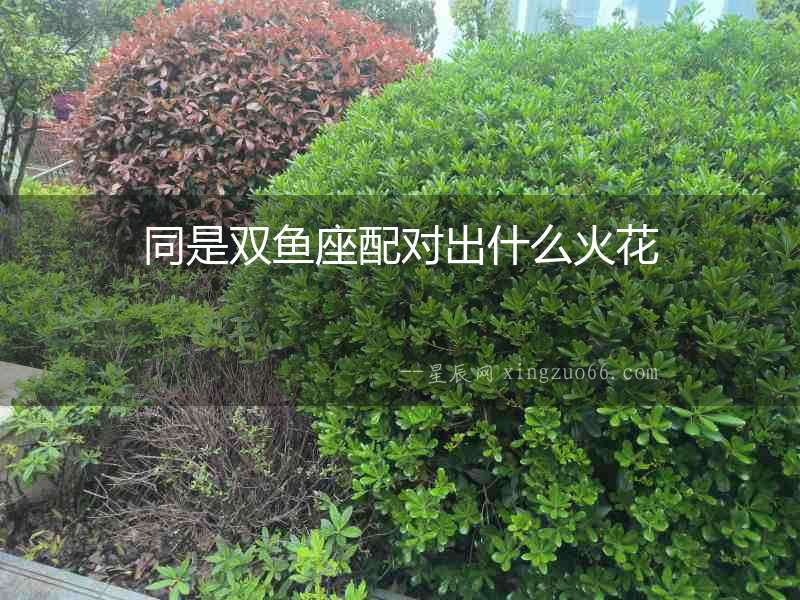 同是雙魚座配對(duì)出什么火花